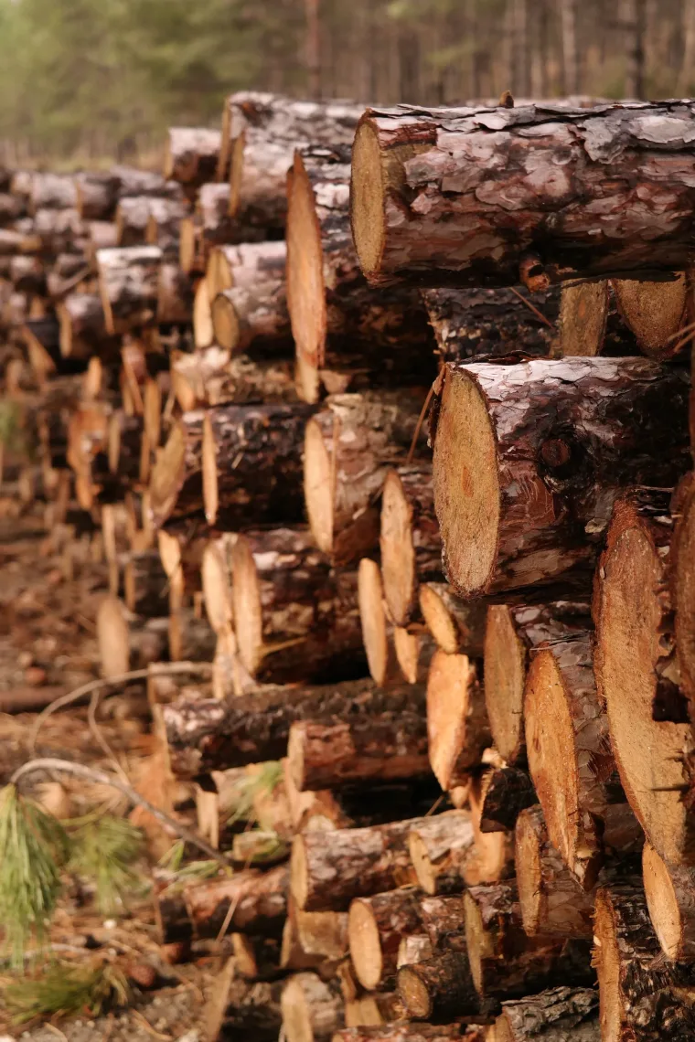 Lumber Takeoff Services